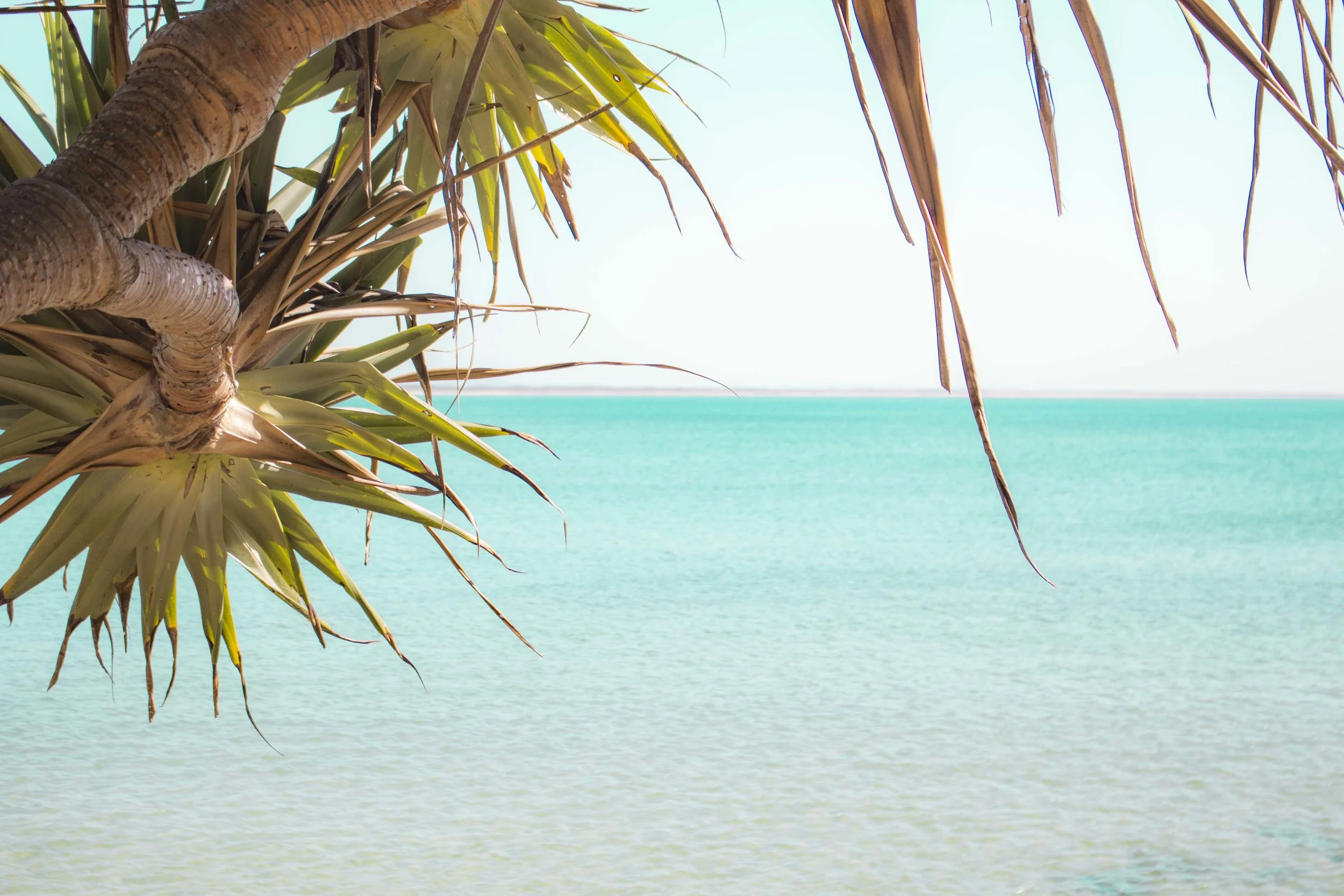 Berlee Photography - Aqua