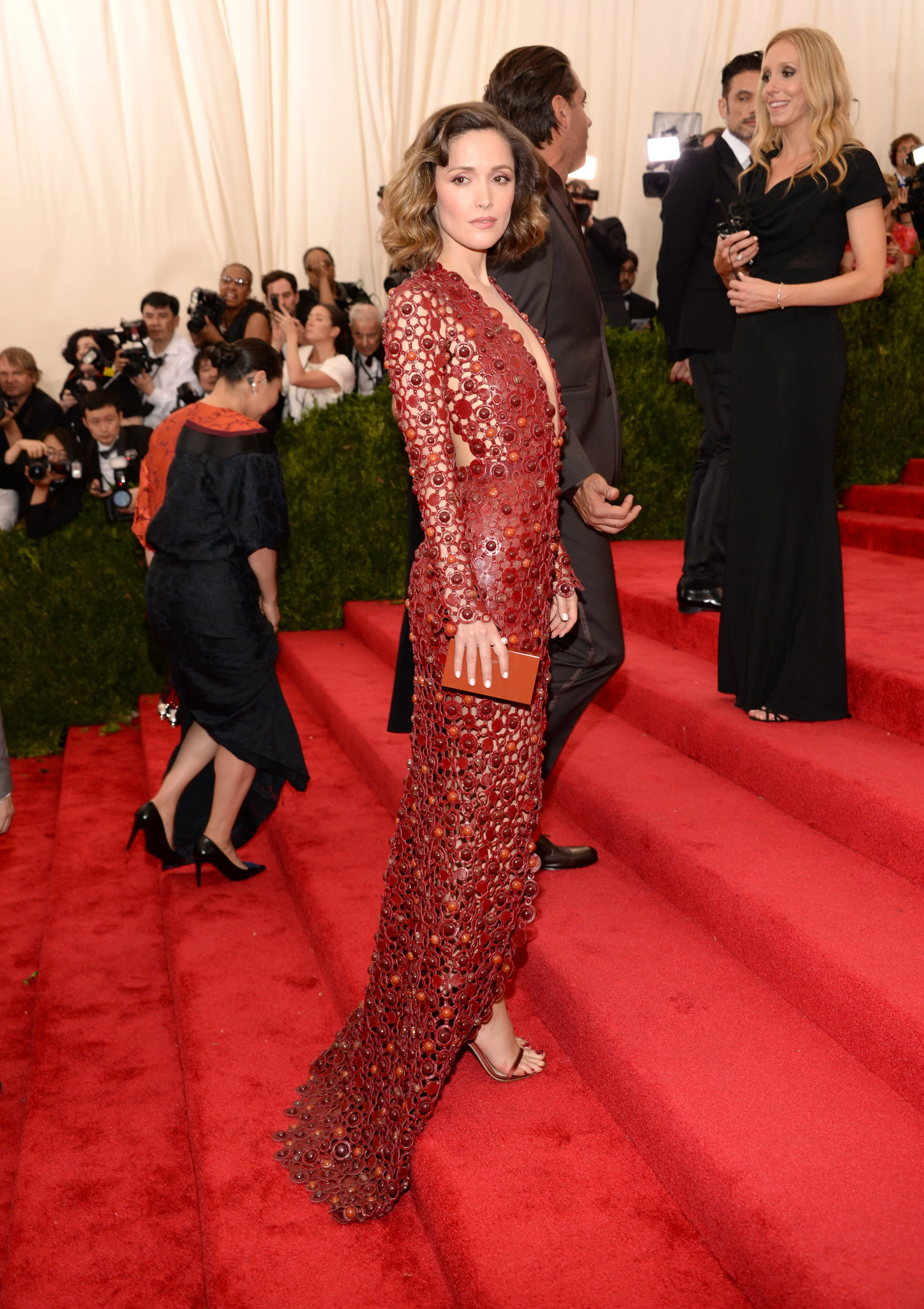 2015 Met Gala: Rose Byrne