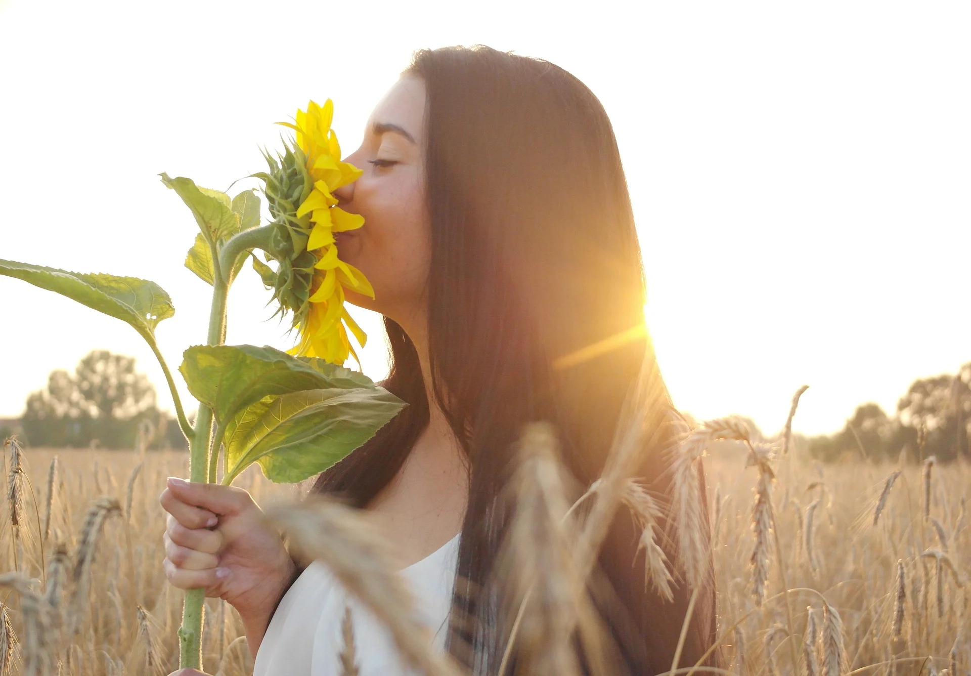 My Top Choices For Year-Round Face Protection