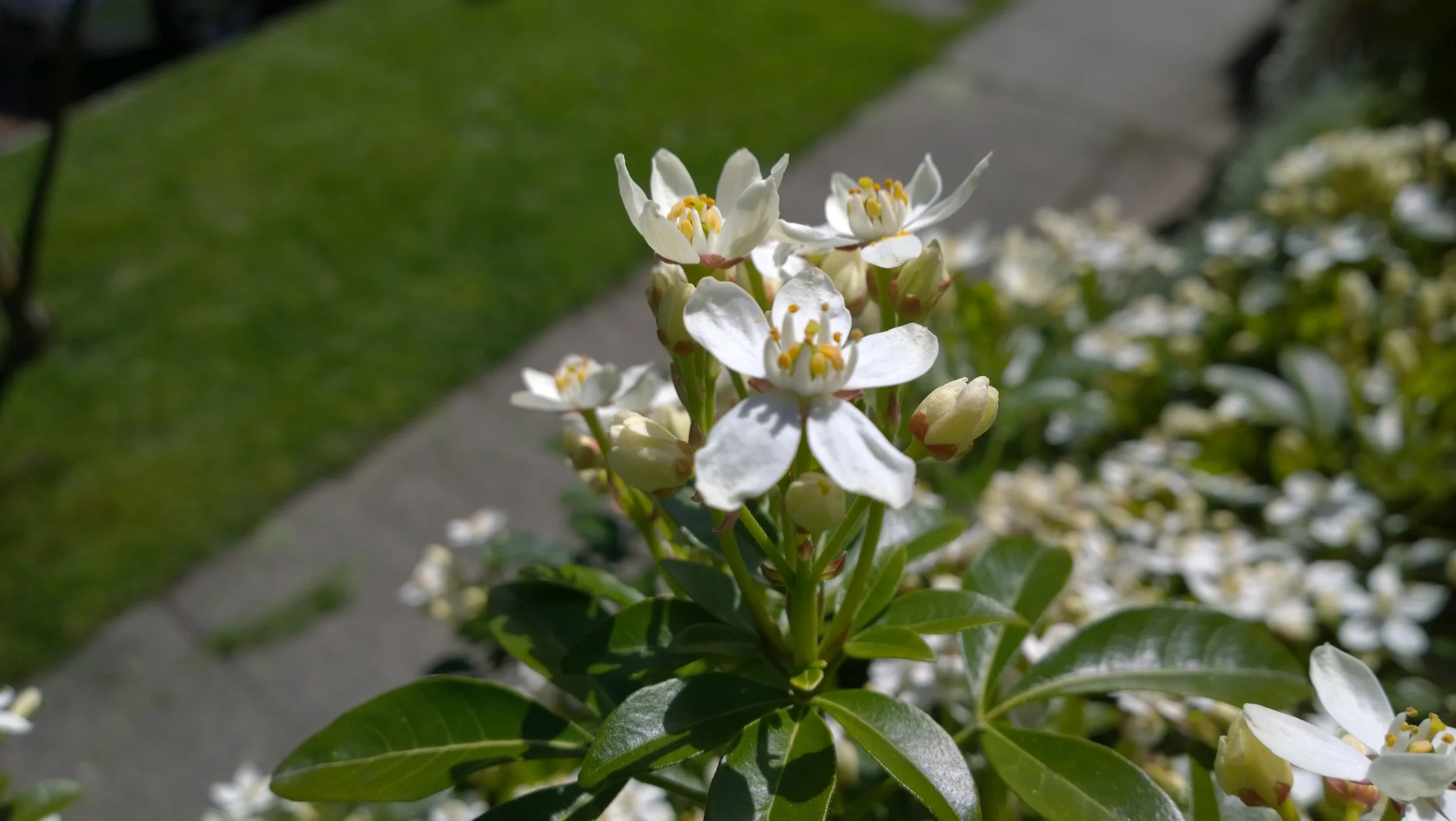 A crispier perspective