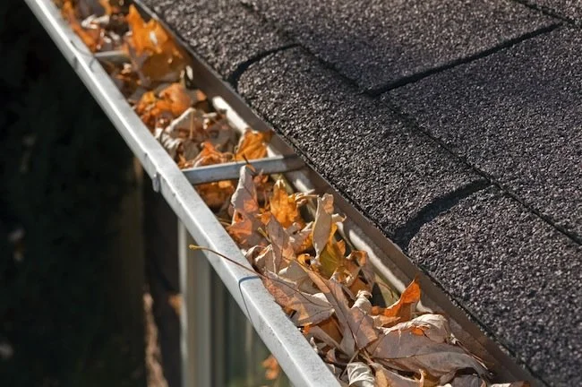 clean-gutters.jpg