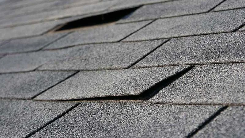 why-shingles-curling.jpg