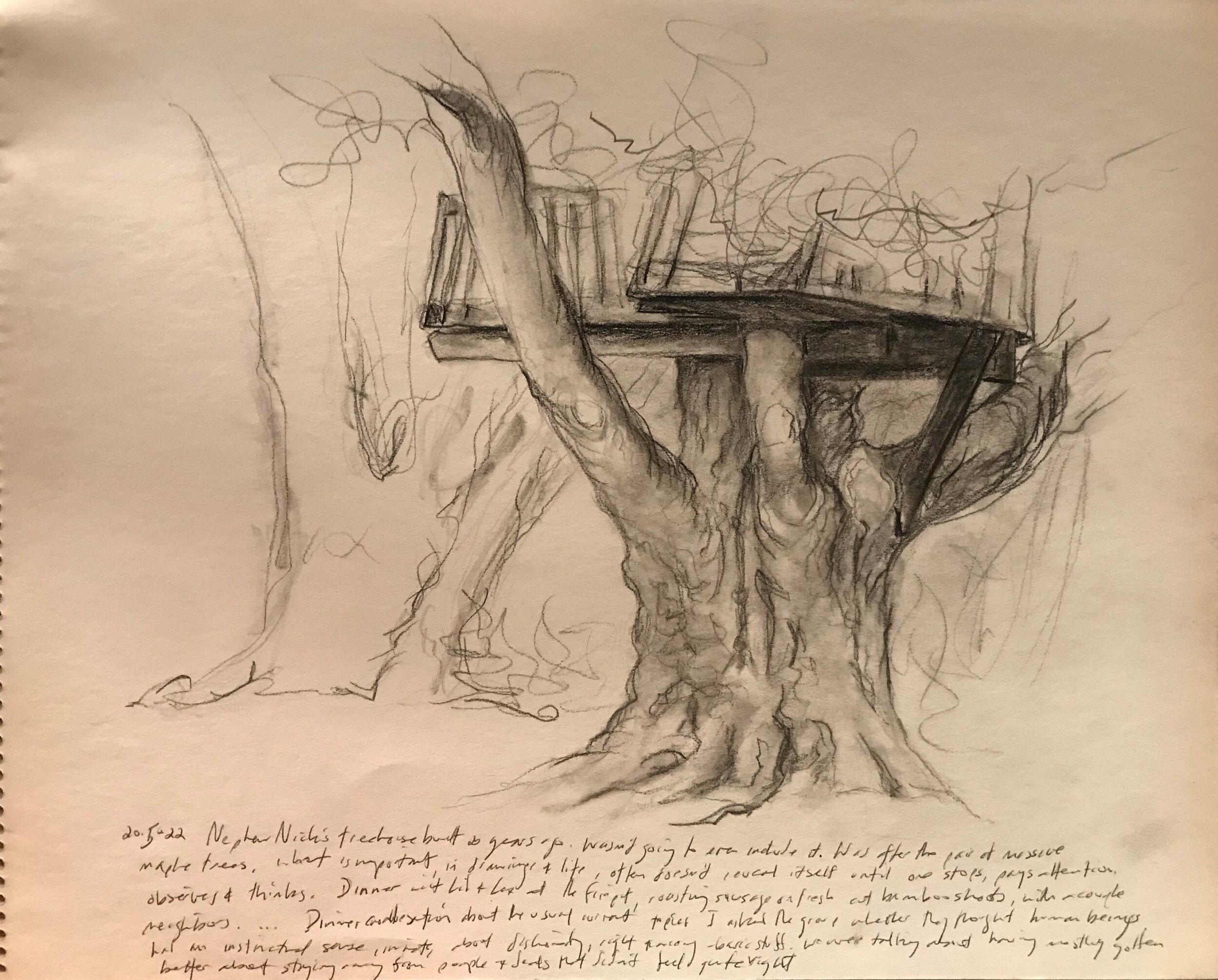20-05-22 Nick's Treehouse  Charcola on Paper  111 x 14 inches.jpg