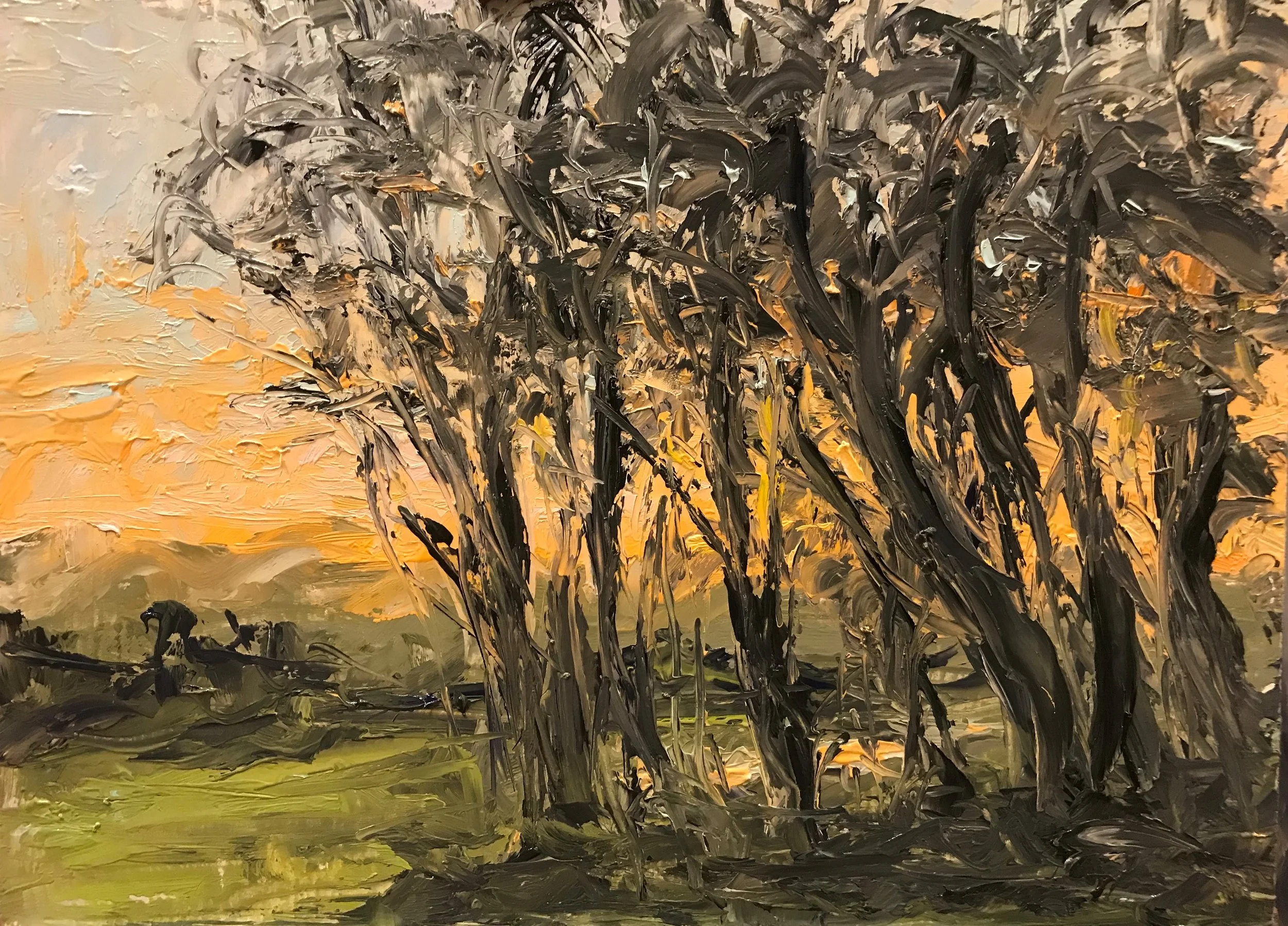 20-09-04 Afterlight from Peter's Granite Knoll.jpg