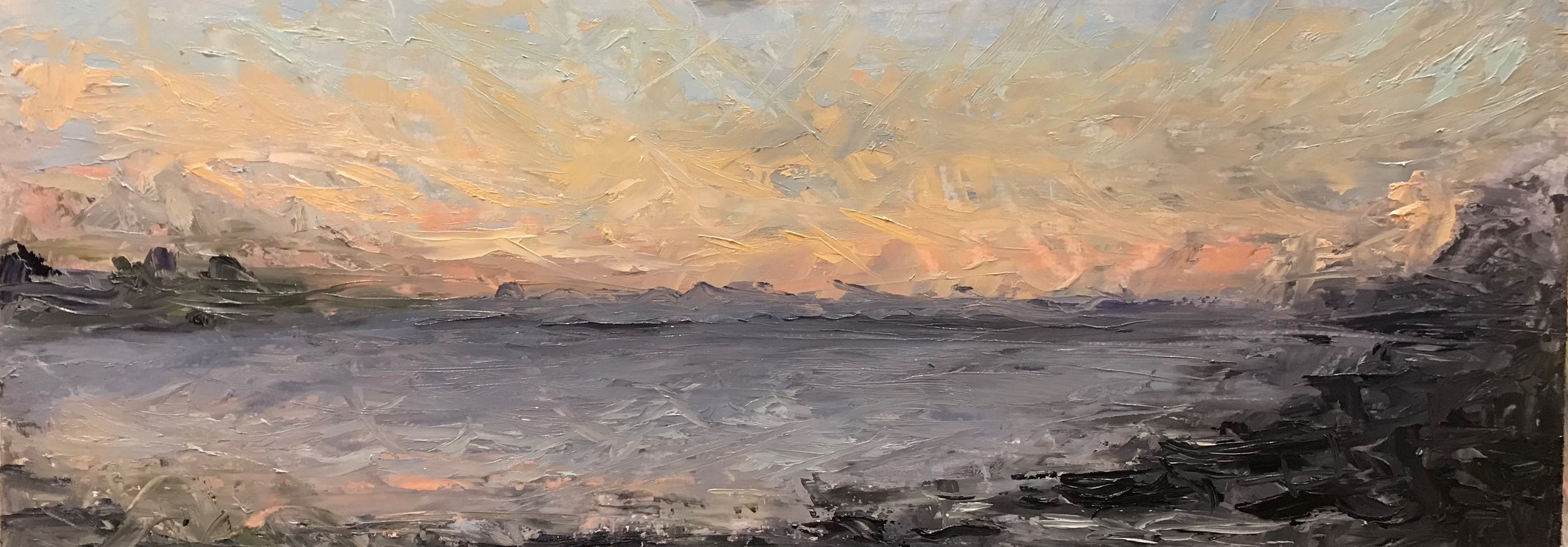 20-08-20 After Light at Shell Beach  OIl on Panel  9 x 24 inches.jpg