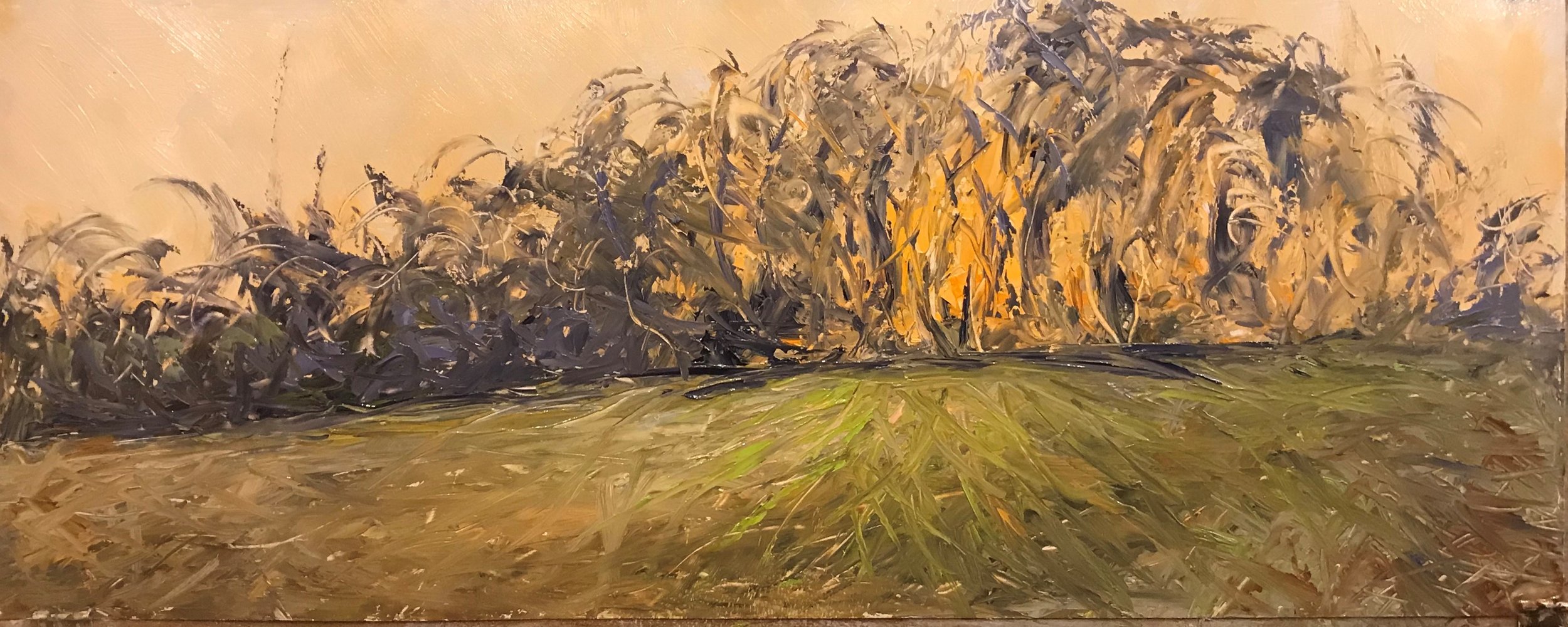 20-11-09  Sunset behind the Tree Line   Oil on Panel   8.75 x 22 inches.jpg