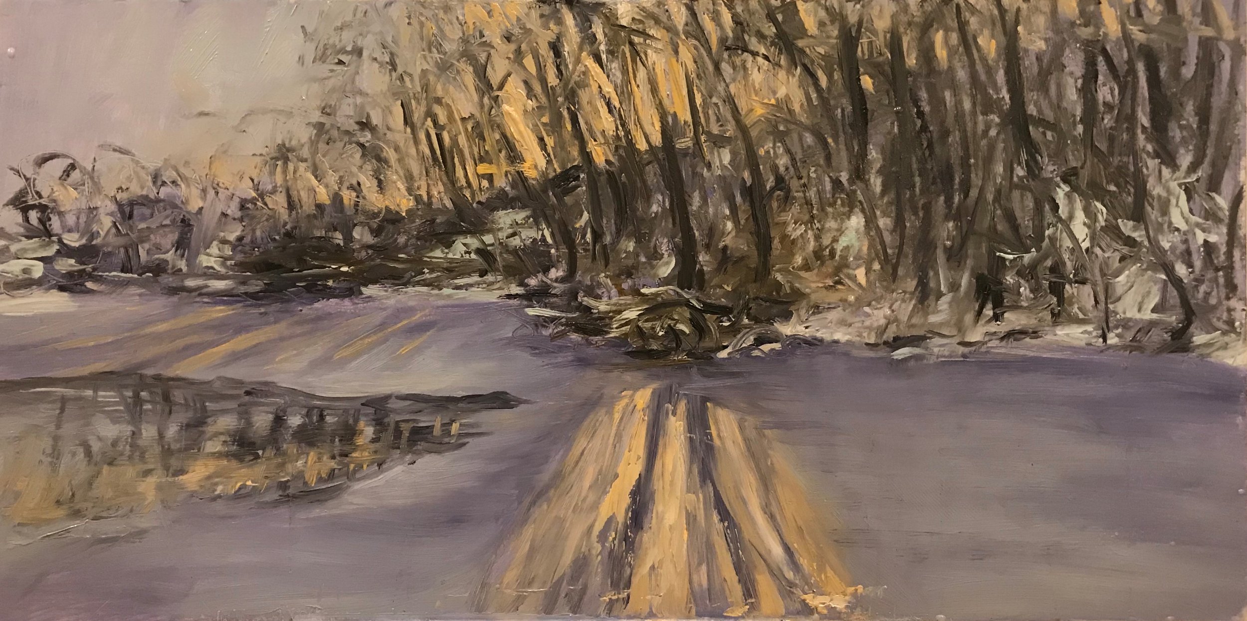 20-12-18 Peter’s Pond  different light.  Different Angle  12 x 24 inches.jpg