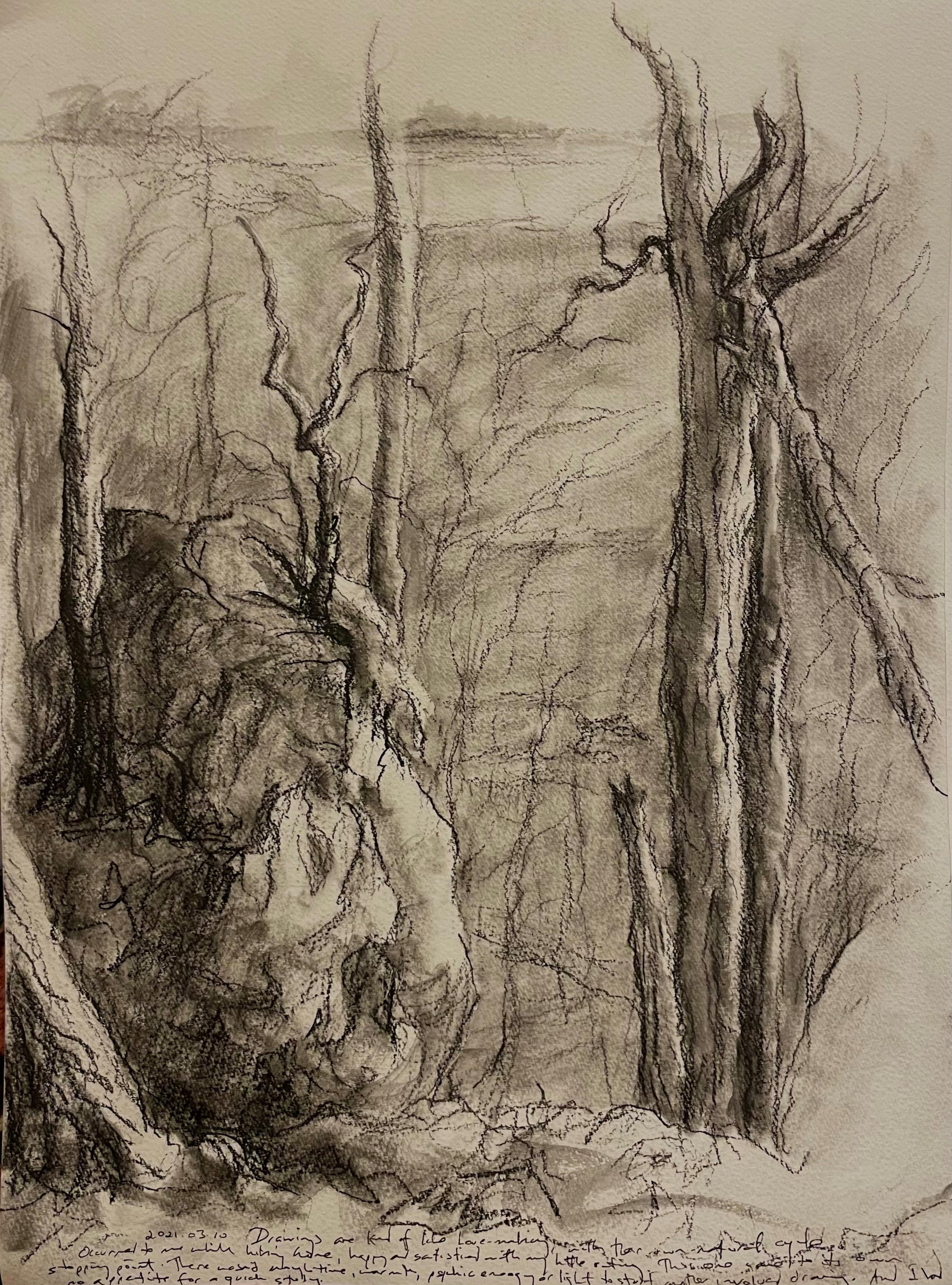 21-03-010   Atop a Granite Knoll Knoll     Charcoal on Paper     12 x 16 inches.jpg