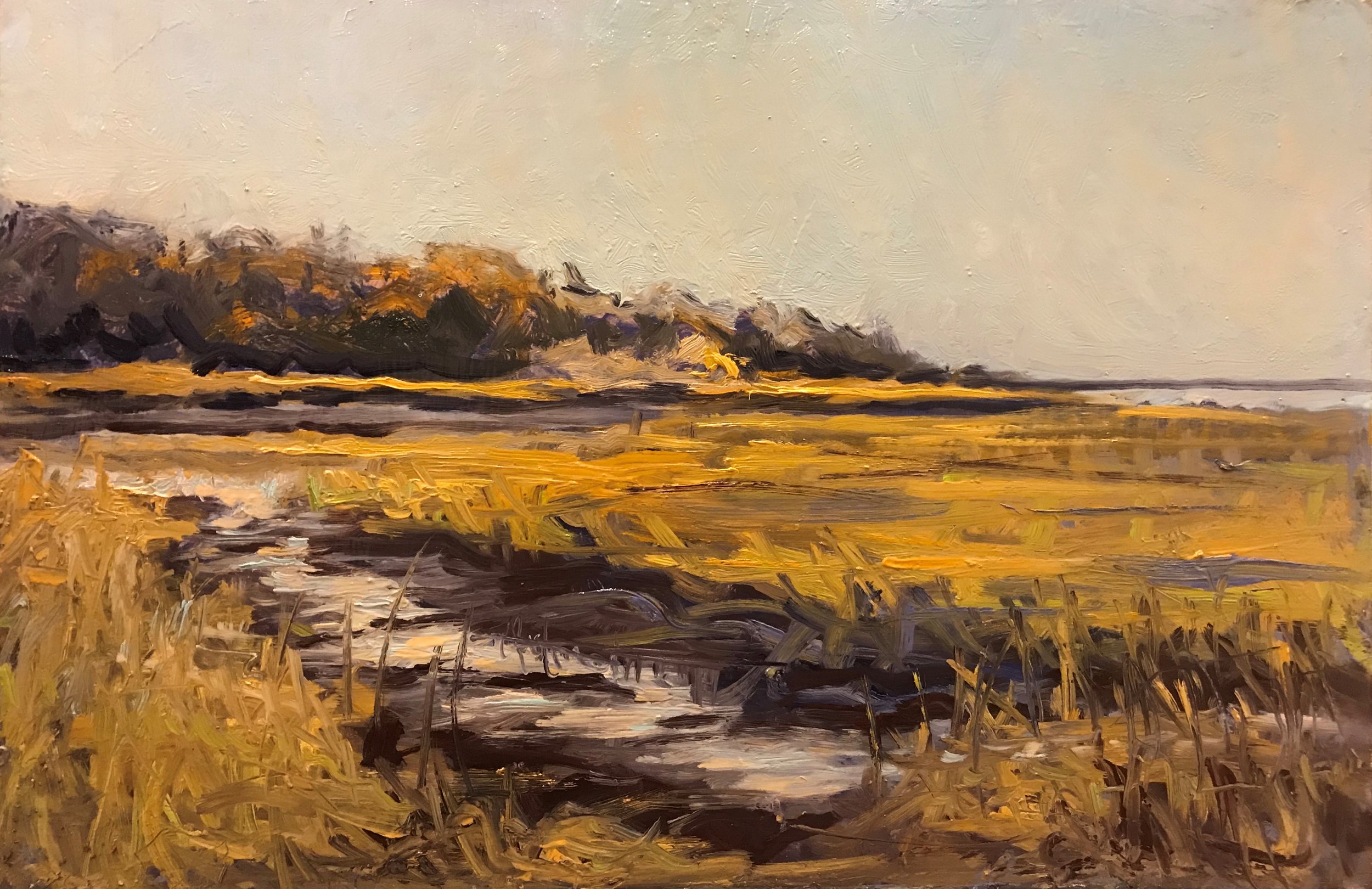20-11-14  Mustard March Grass Looking Toward Pixie from the other side of the Dyke  Oil on Panel   12 x 18 inches.jpg