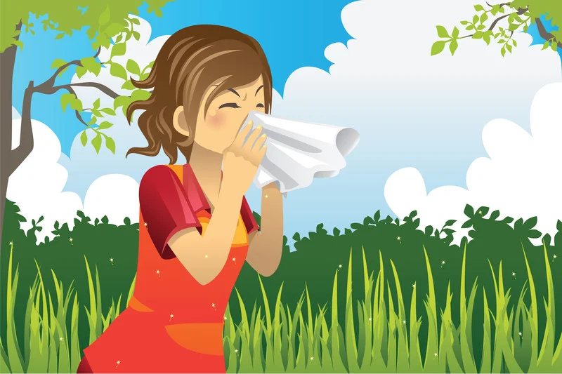 No More Congestion! Natural Help for Allergies