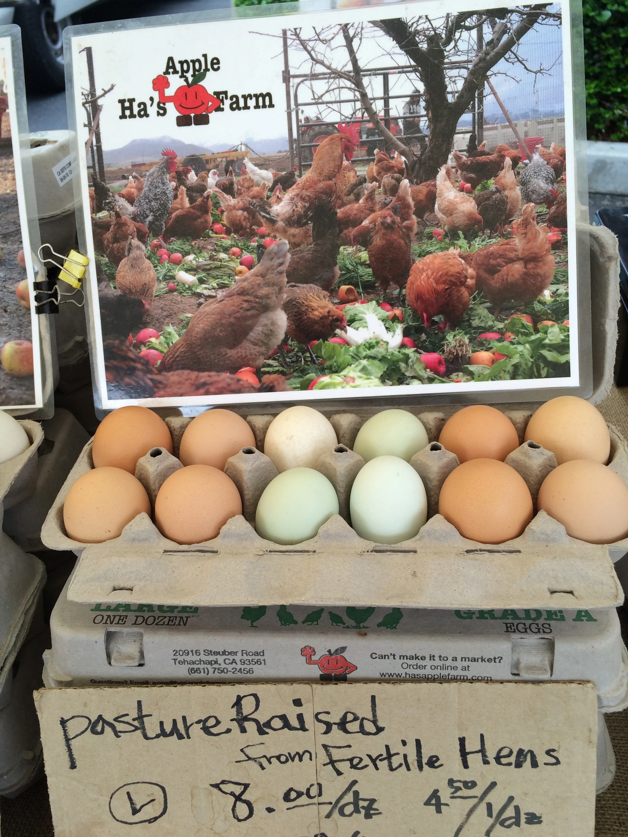 What’s in Your Eggs?