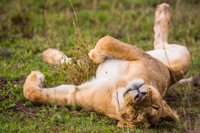 Fighting That Afternoon Slump?