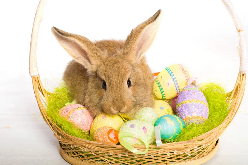 How Do They Figure Out When to Have Easter?