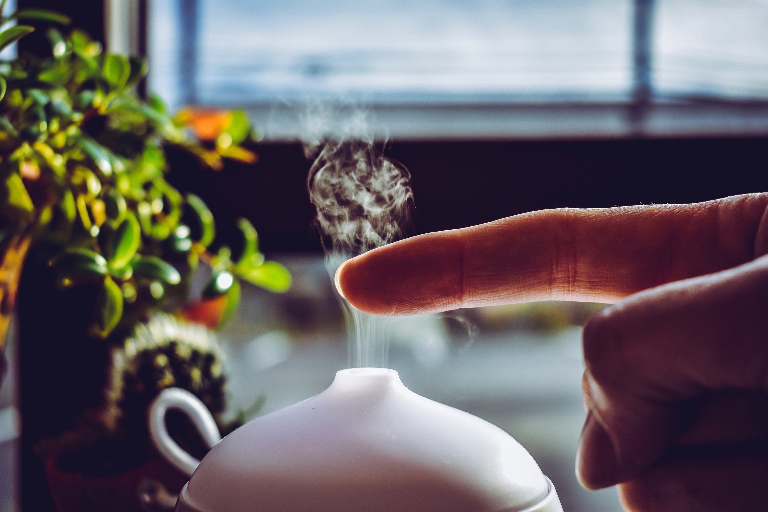 Can Some Scents Actually Improve Your Memory?