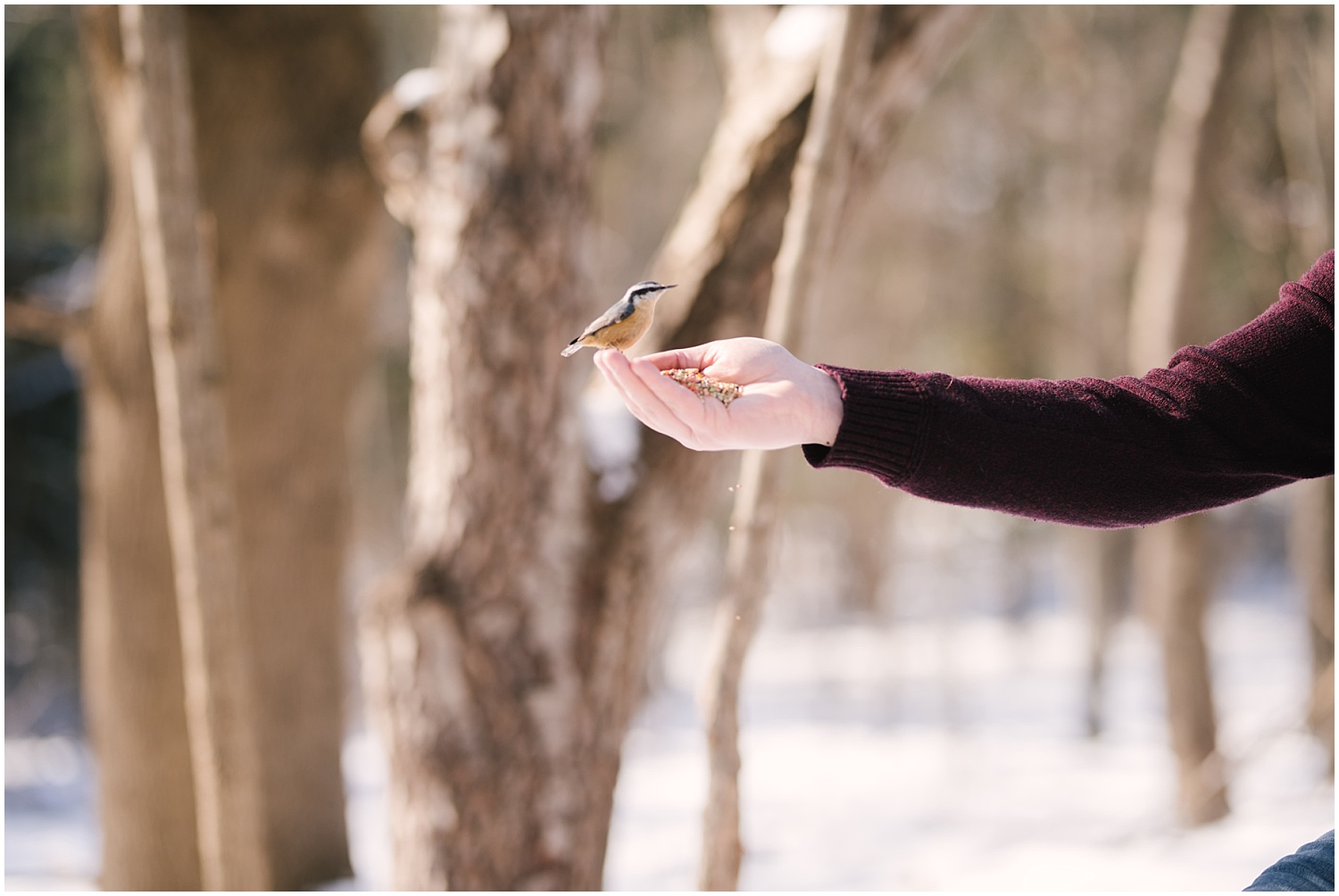 mendon-ponds-winter-engagement (20).jpg