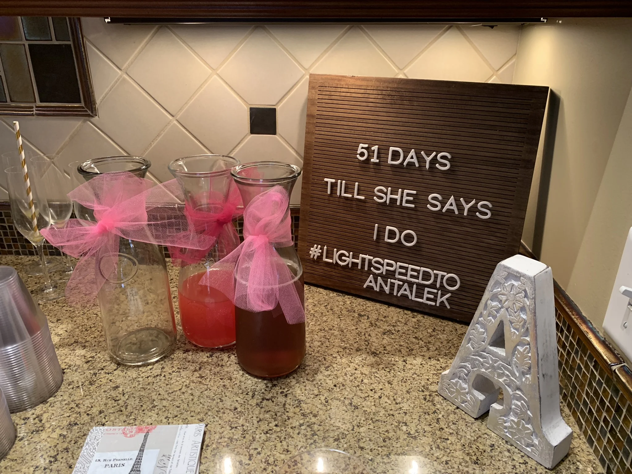 A Paris Themed Wedding Shower Rochester, NY — Megan Antalek Photography