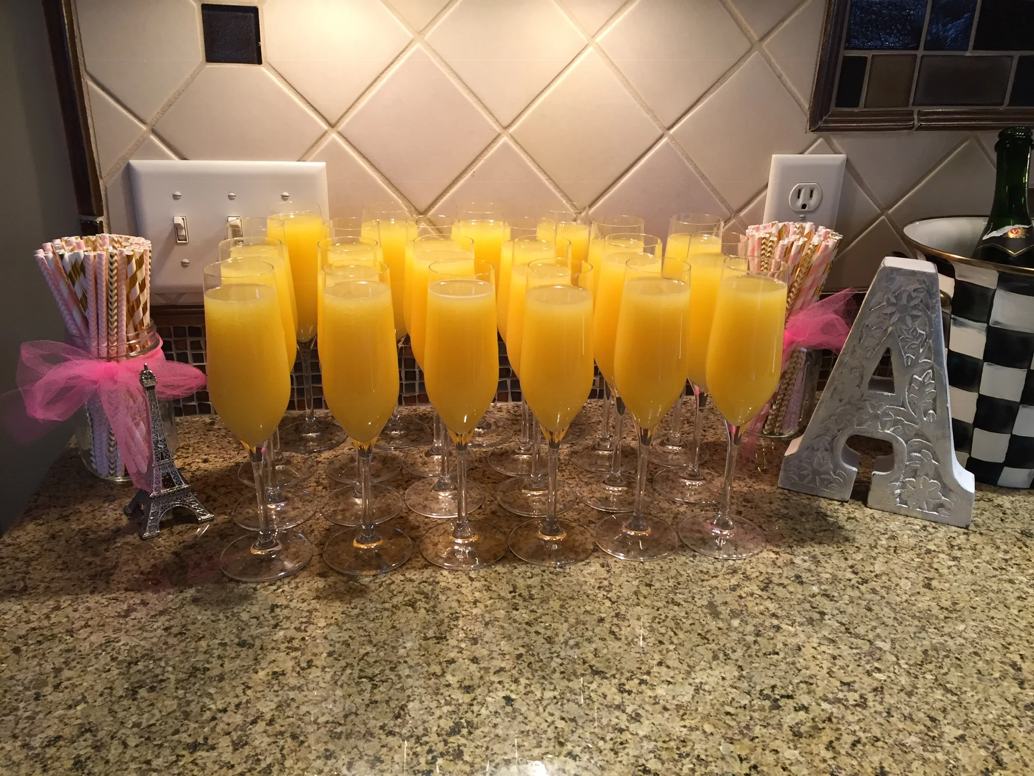 A Paris Themed Wedding Shower Rochester, NY — Megan Antalek Photography