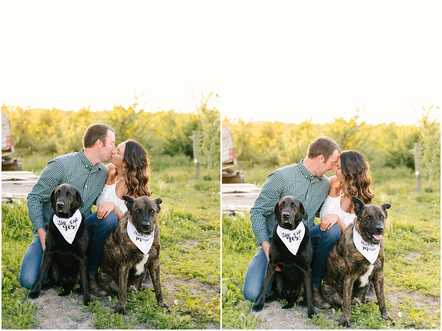 Partyka Farms Engagement Session Rochester, NY Wedding Photographer