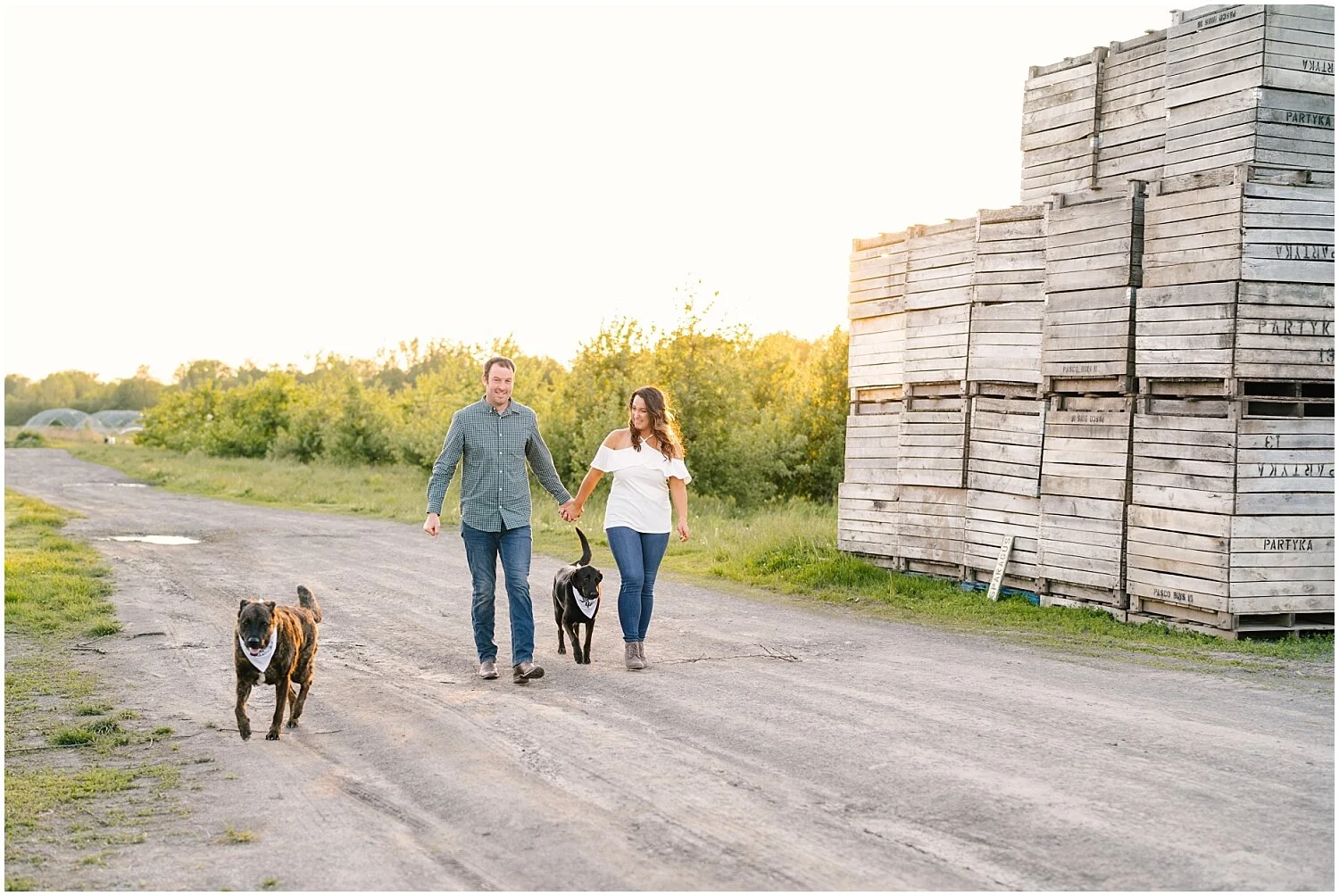 Partyka Farms Engagement Session Rochester, NY Wedding Photographer