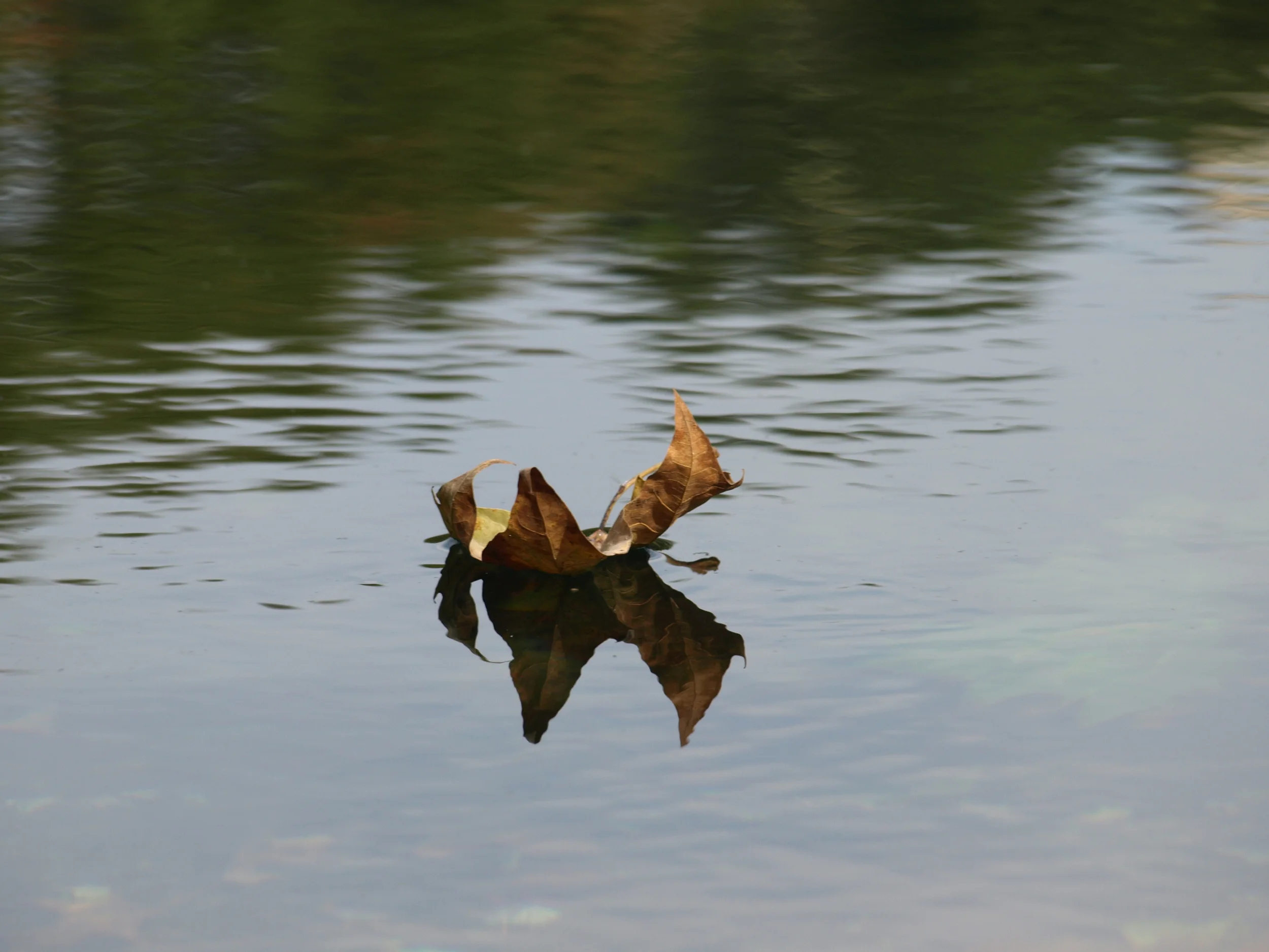 PA251536.JPG