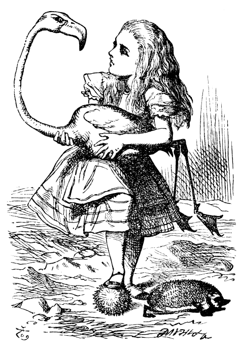 Much like Alice, first years find the going curiouser and curiouser at Booth. Image courtesy of John Tenniel (Wikipedia Commons).