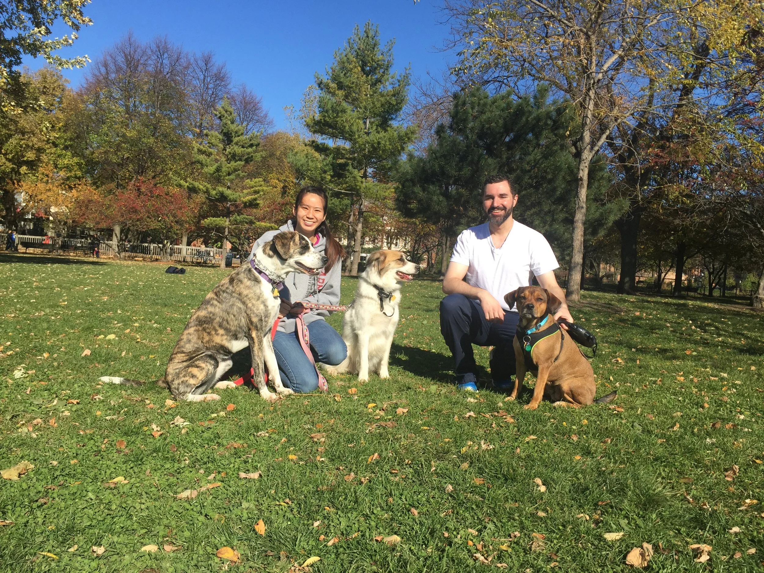 Weekend CBF students TIffany Yang ’19 and Andrew Kerosky ’19 take in the CBF football game with their dogs on Nov. 13.