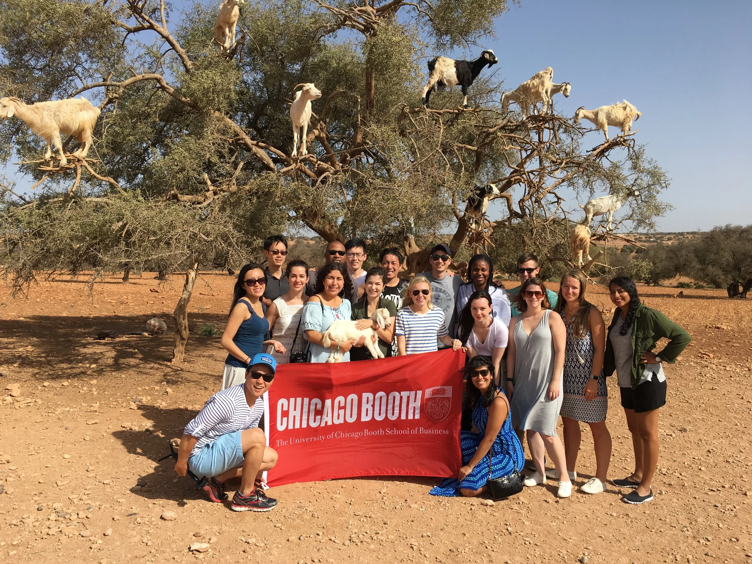 Group poses in front of an argan tree full of goats on the way to the seaside town of Essaouira