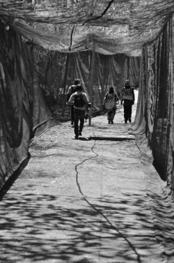 Determined paintballers walk onto the battlefield, preparing to face off against friend and foe alike. Many will enter, most will get welts.