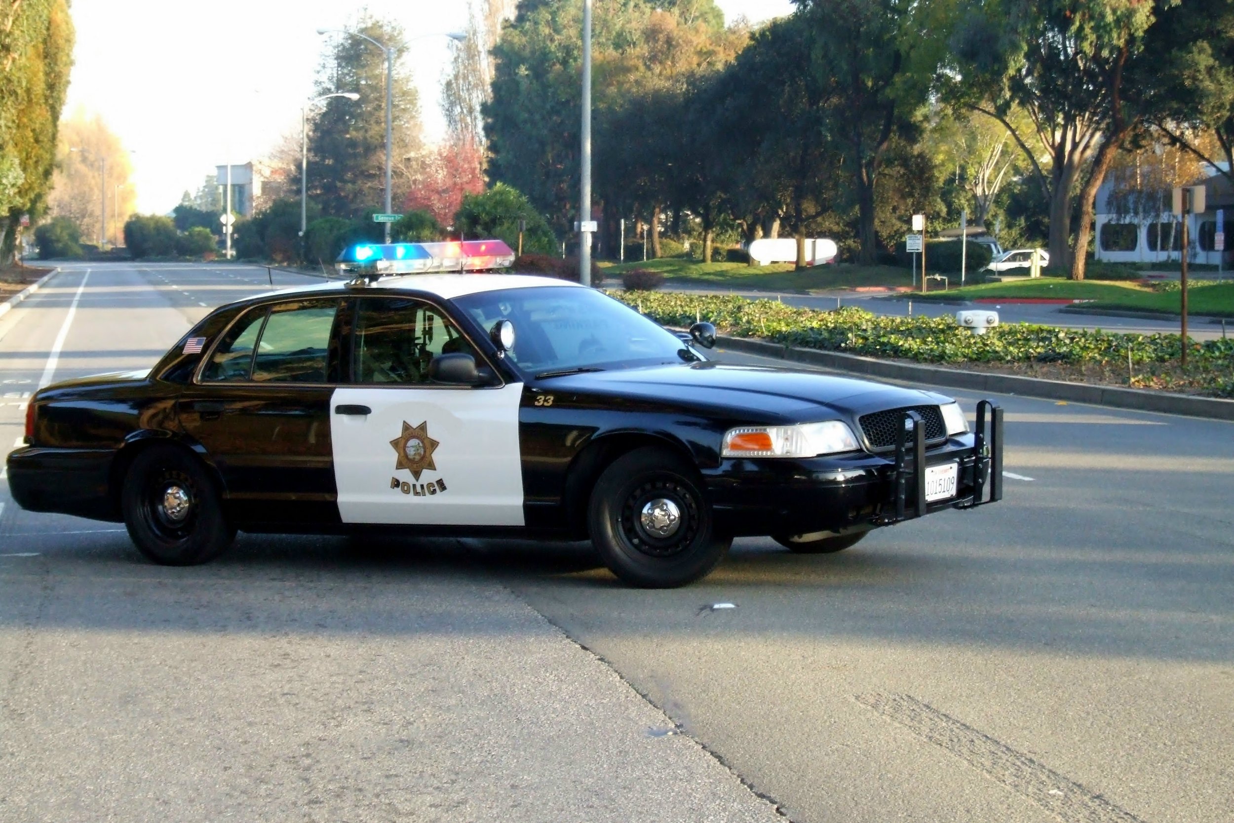 scott's law photo.jpg
