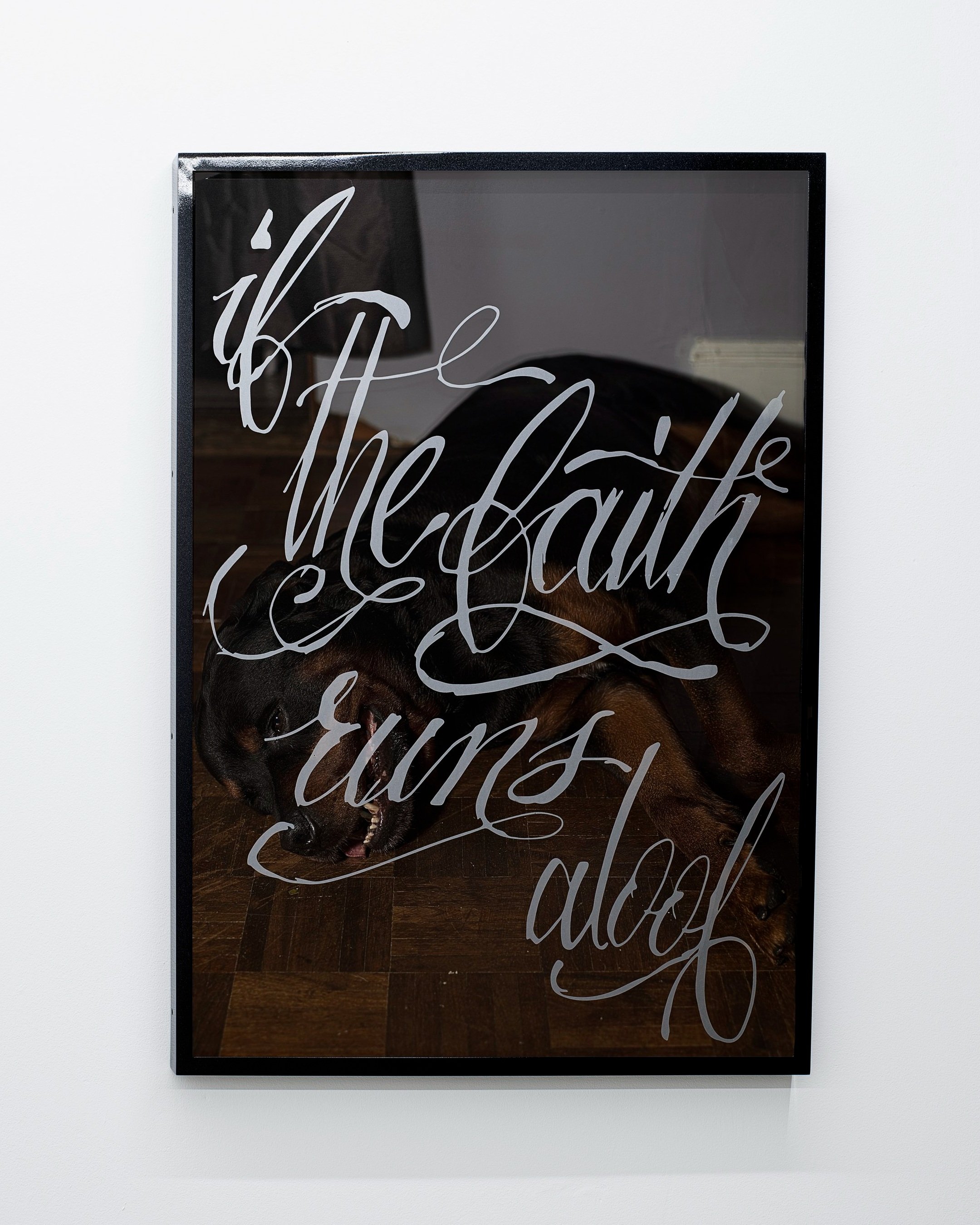   if the faith run aloof  Archival pigment print, automotive enamel paint, frosted vinyl 27x36 in. 2021    collaboration with Freddy Villalobos 