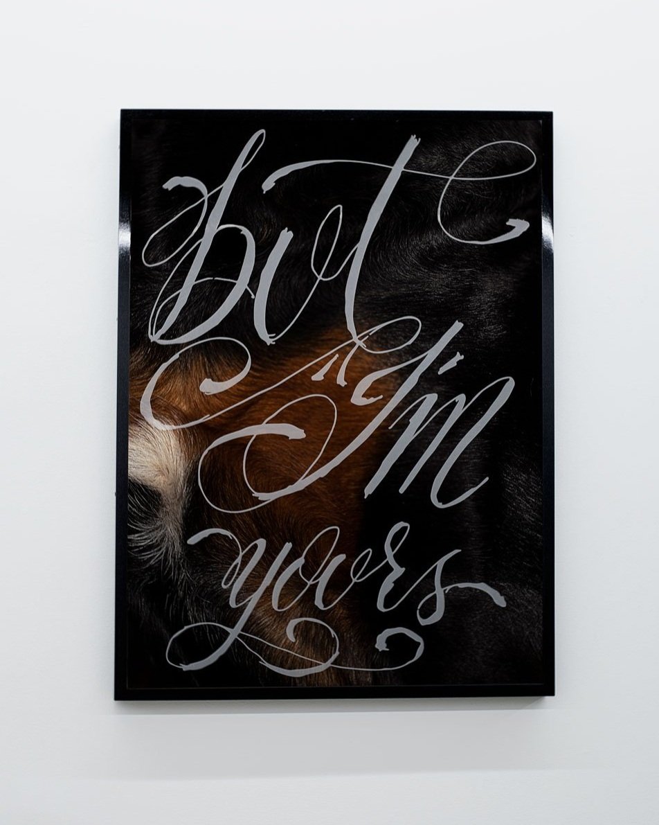   but I’m yours  Archival pigment print, automotive enamel paint, frosted vinyl 27x36 in. 2021    collaboration with Freddy Villalobos 