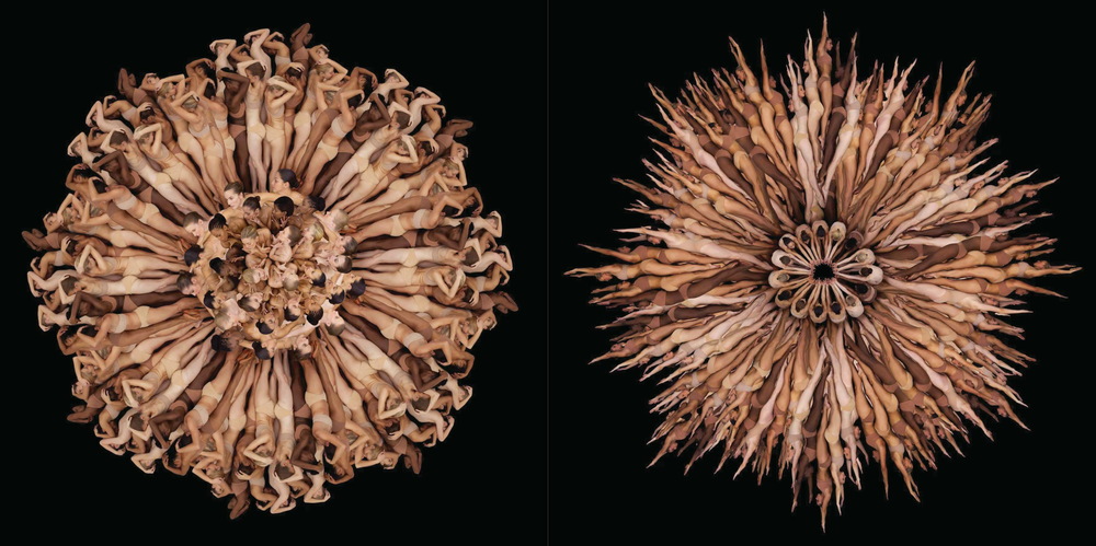  Left: Dancers' Flowers #4, photographed in New York City, May 2008. The art director, Craig Smith, challenged me to make all sorts of images with dancers. I had recently completed a major work with flowers which became my book Botanica. So flower an