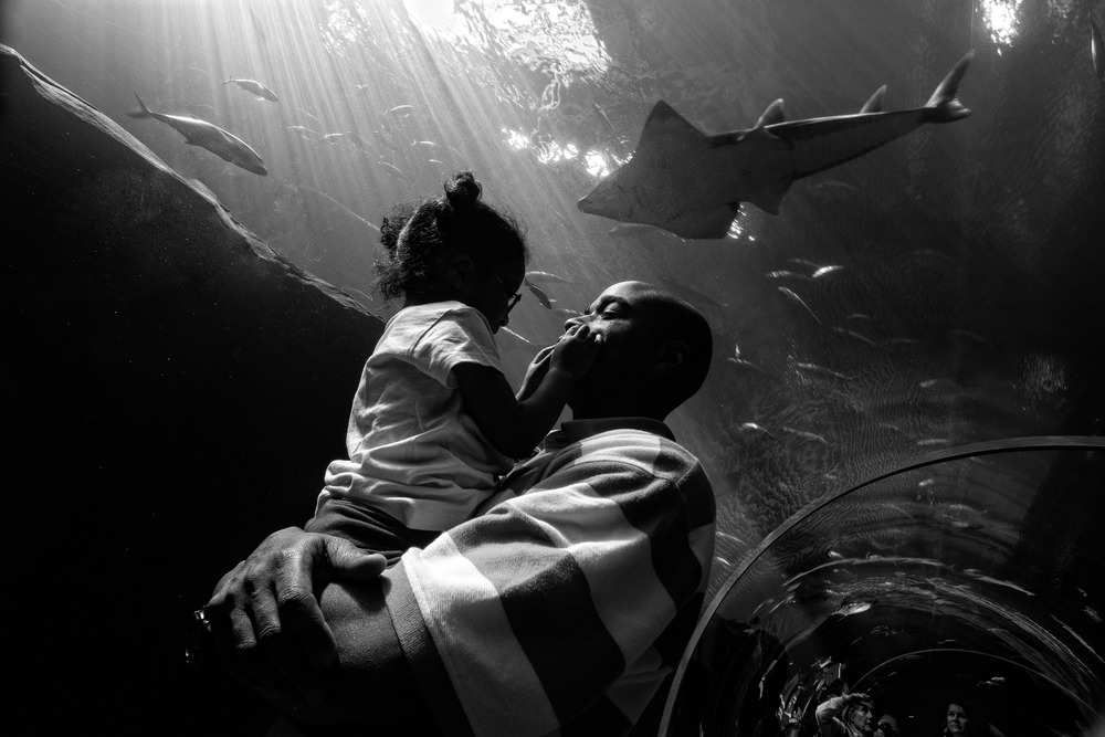  Carlos and Selah Richardson at Georgia Aquarium. 2012&nbsp;© Zun Lee 
