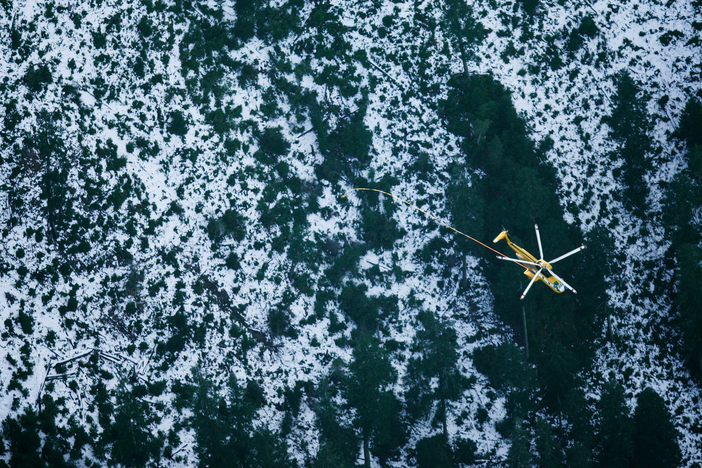 A helicopter chartered by the family of James Kim trails equipment over the Big Windy Creek drainage about 30 miles west of Grants Pass as part of their search for the San Francisco man. Searchers spotted several articles, including a pair of Kim's pants. Part of the 2007 Pulitzer package. © Sol Neelman/The Oregonian