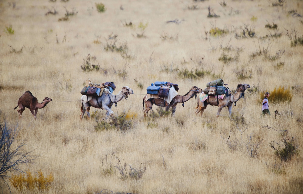   Mia Wasikowska playing Robyn Davidson in the TRACKS movie.   ©  Matt Nettheim/See-Saw Films&nbsp;   