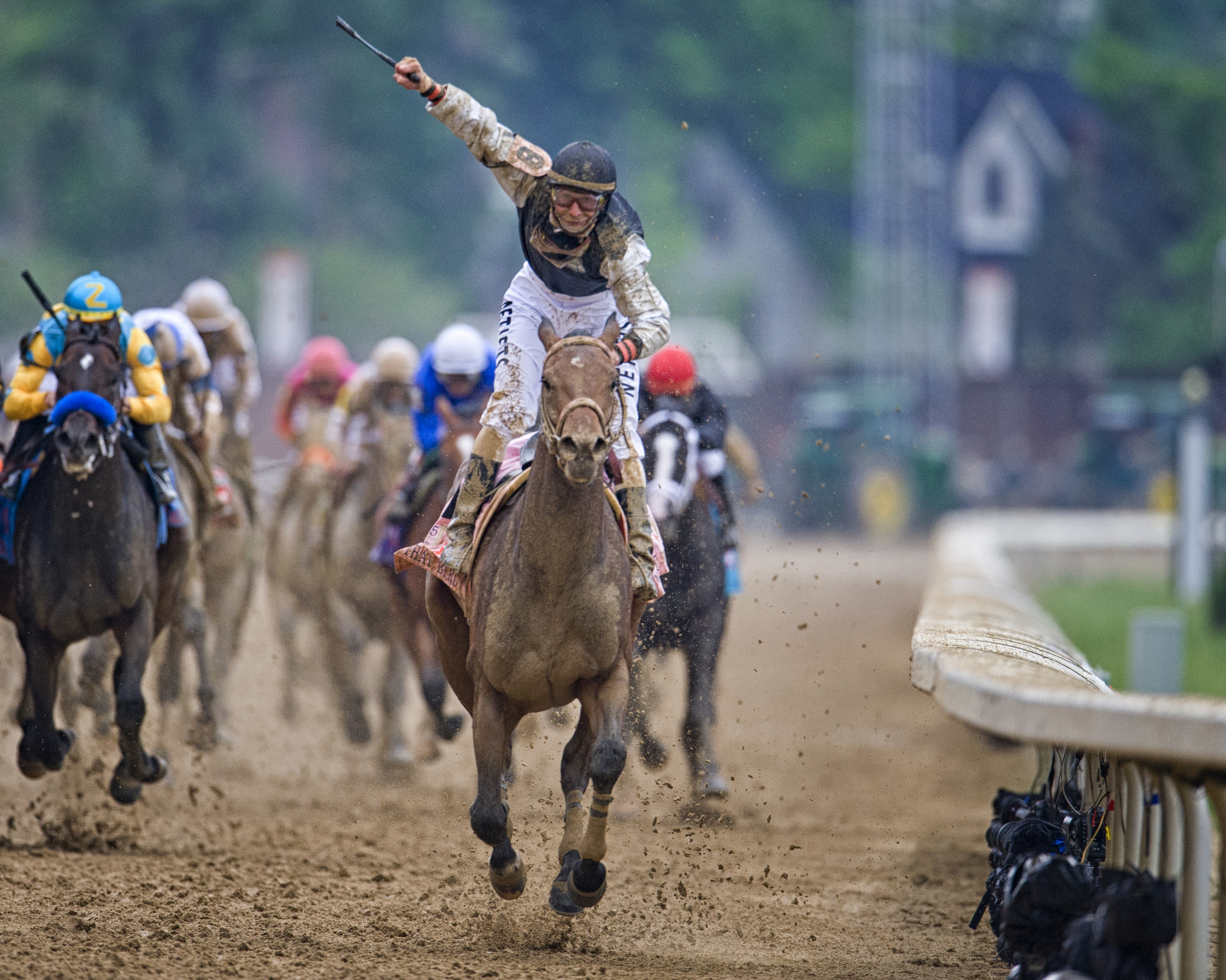 Calvin Borel wins the 2009 Kentucky Derby atop Mine That Bird. © Bill Frakes/Sports Illustrated