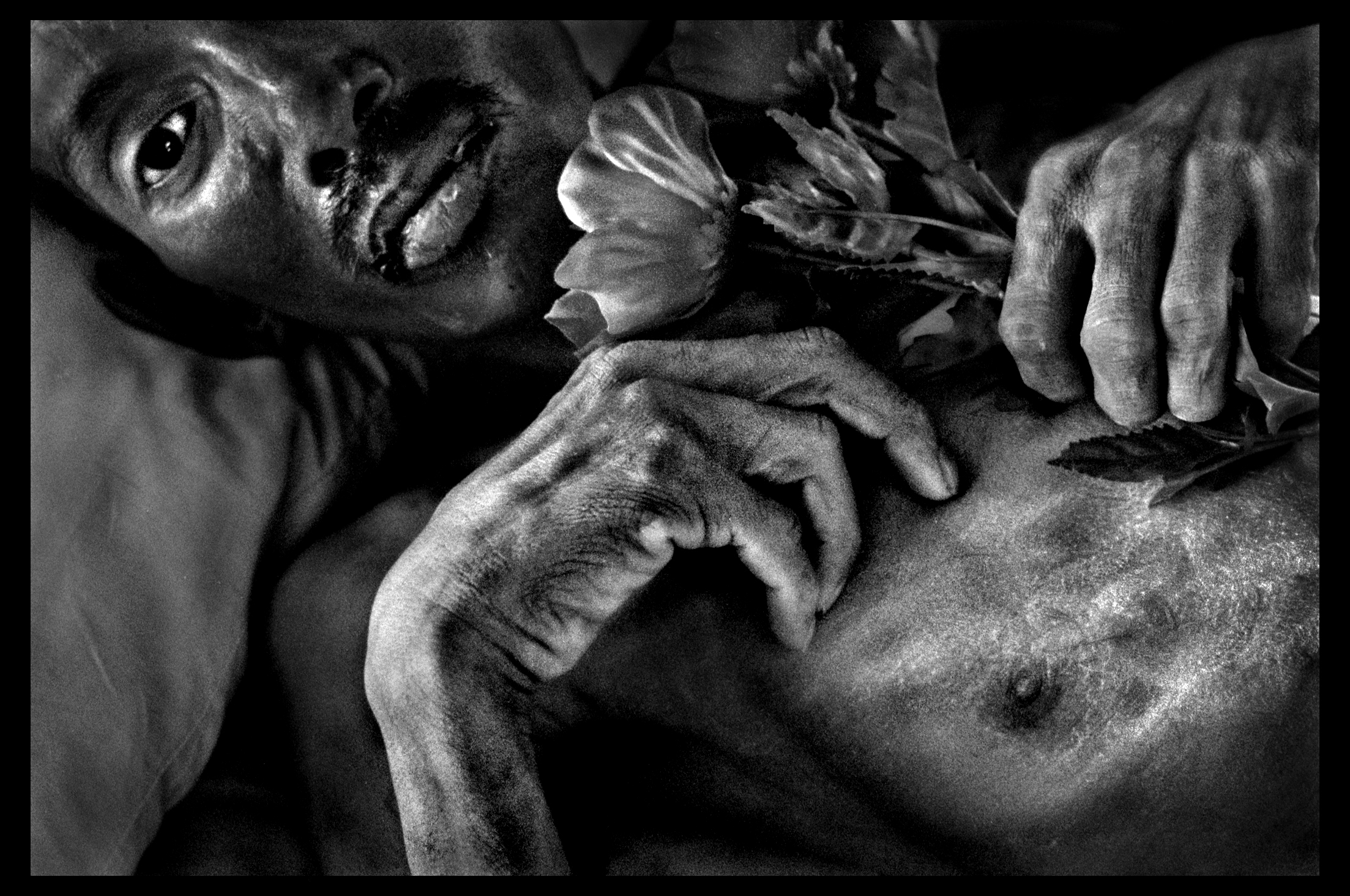 Saong (38) lies in an Aids hospice in Thailand, holding a plastic flower. World Press Photo Contest 1999, People in the News, second prize singles. © Nancy Andrews/The Washington Post