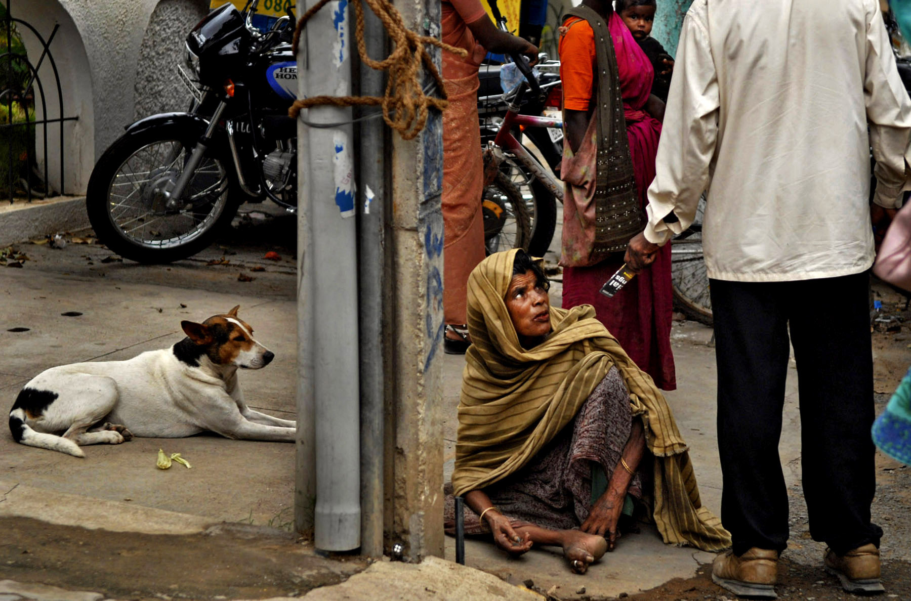 Lost Daughters: Sex Selection in India: A beggar woman shares the sidewalk with a stray dog while a man waves her away. Women are an endangered species in India. ''Raising a daughter'', said an old Punjabi saying, ''is like watering your neighbor's