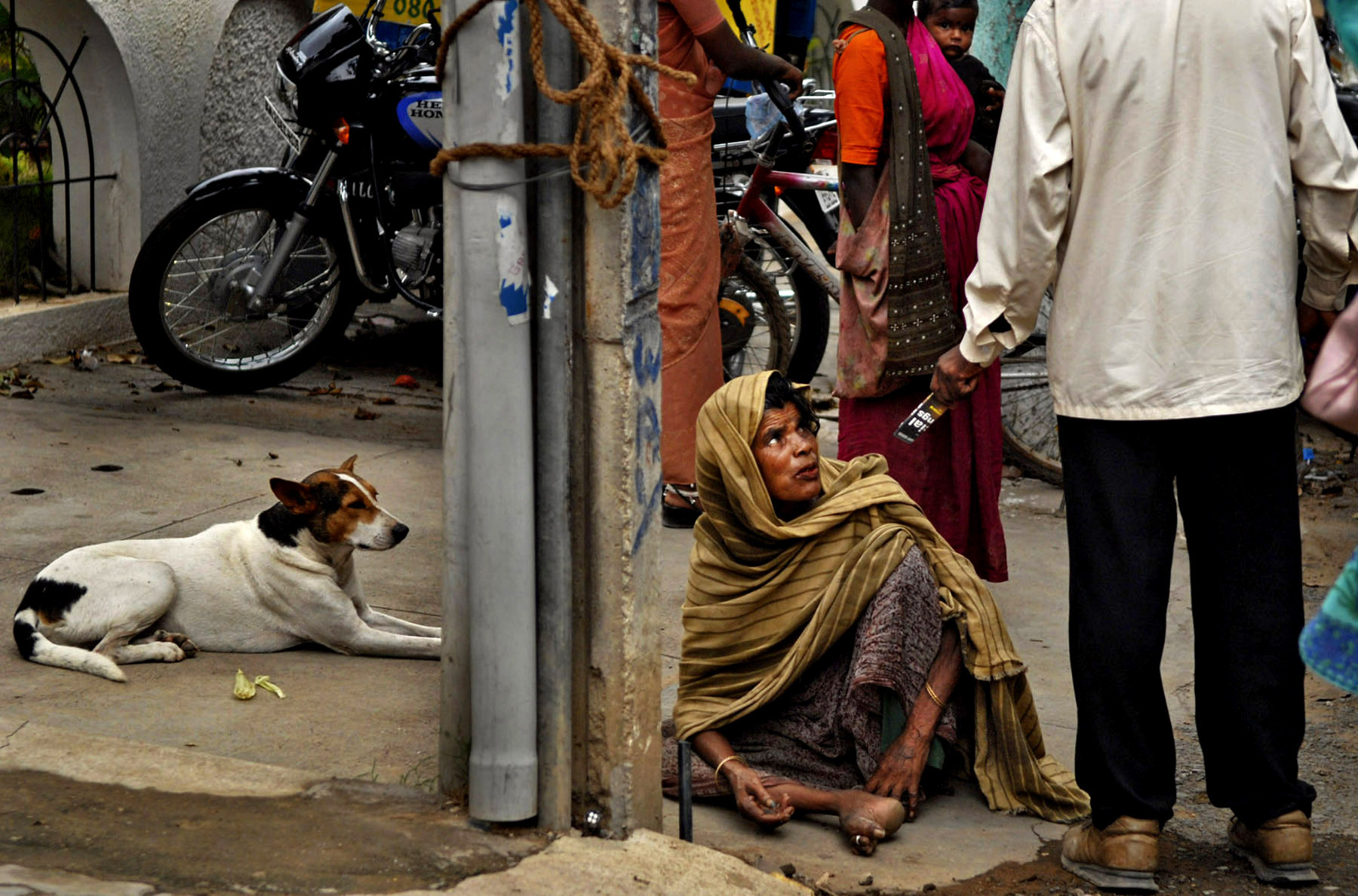 Sex of the dog and girl in Karachi