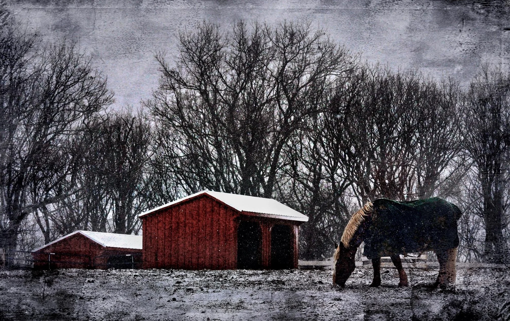 Went out looking for a winter scene today only to find that our local "snow event" wasn't much more than a dusting. Sorry to say that it looks like my friends in the New York and New England areas are gonna get hit with the real thing. I'll be thinking about you..hoping you stay safe and warm. — in Etchison, Maryland. © 2015 Michael S. Williamson/The Washington Post