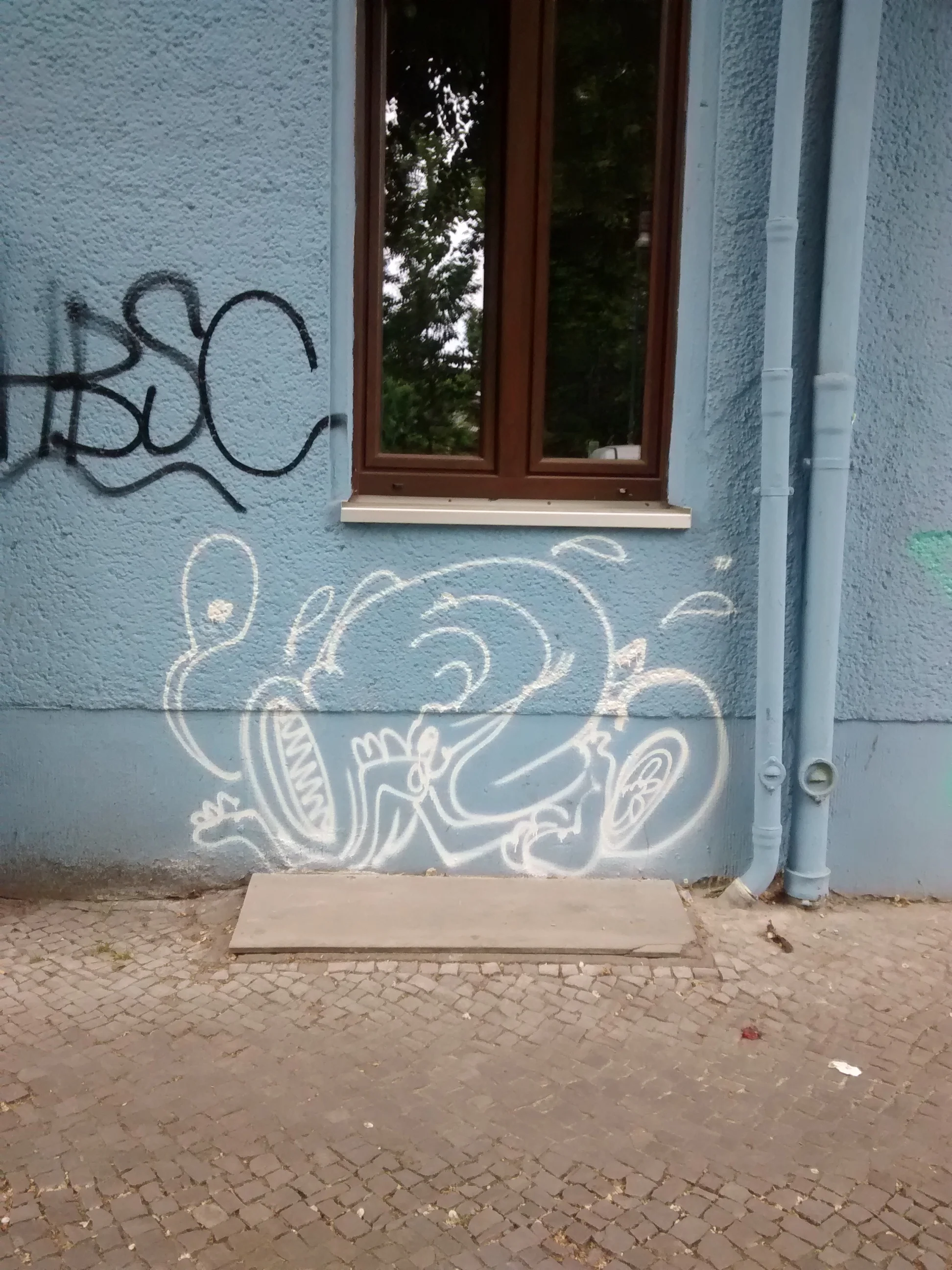 2015-05-20 10.49.08.jpg