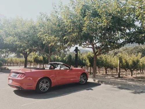 napa. one year later. part 1. 