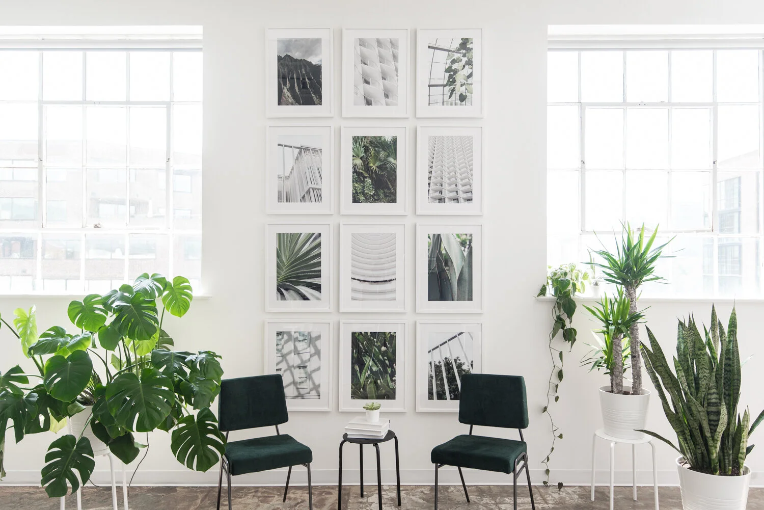 Two Years of Growth with Fostr Collaborative