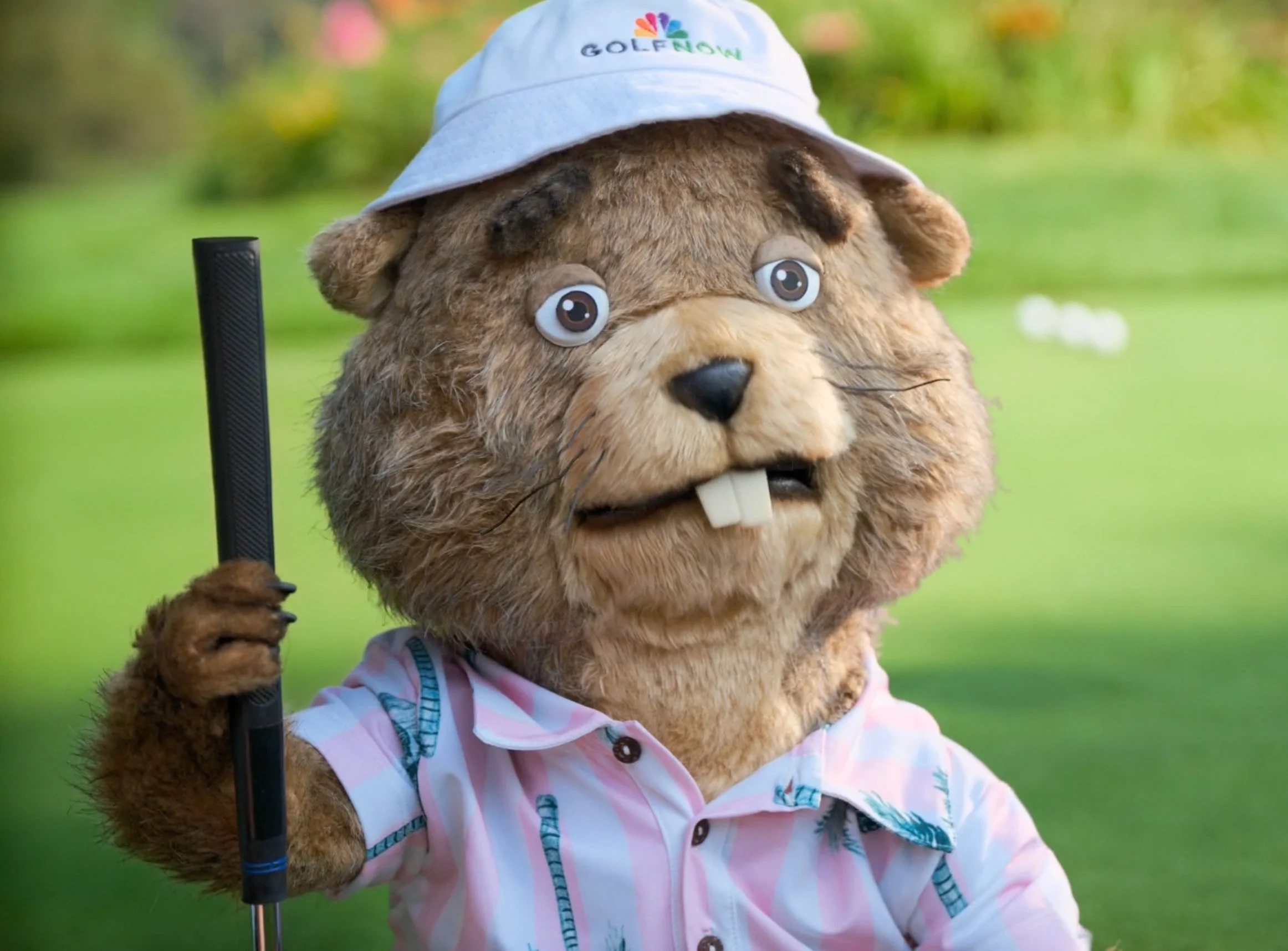 "Squirrel-friend" // GOLFNOW