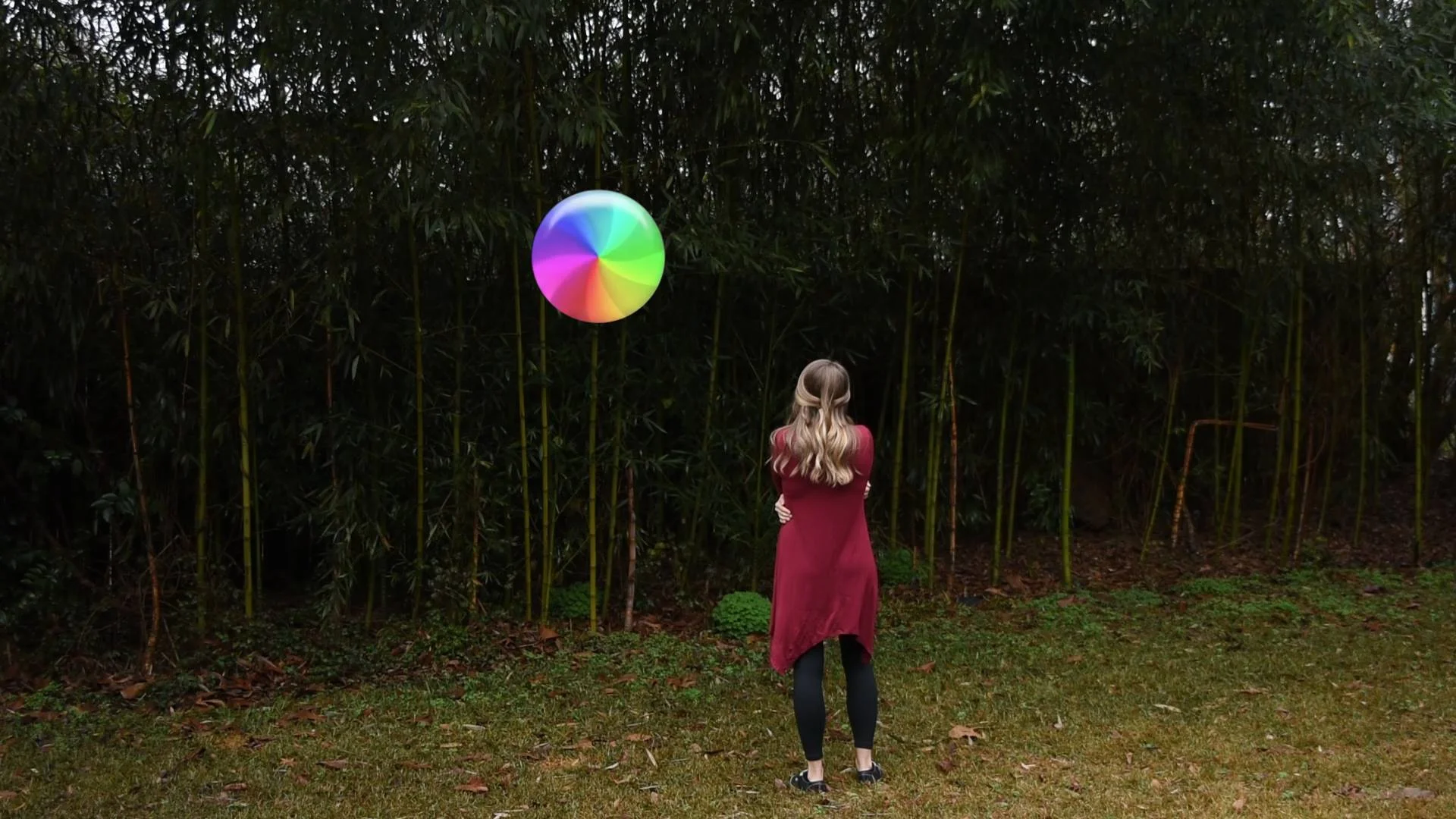 Video Still from Overwrite (2017), Experimental Video Essay