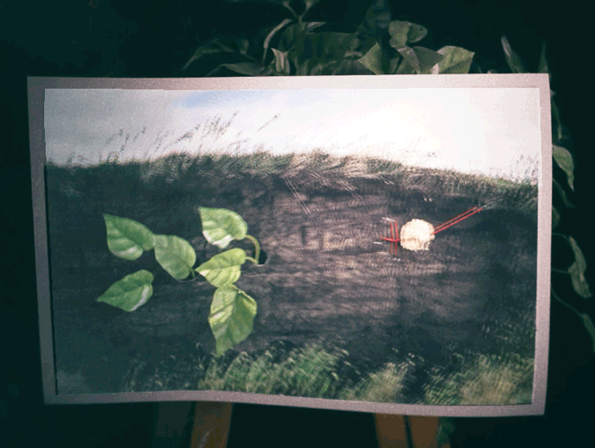 Plants-Print-Gif.gif