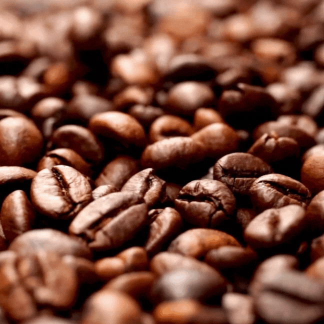 Mr Kopi Branding & Visual Design