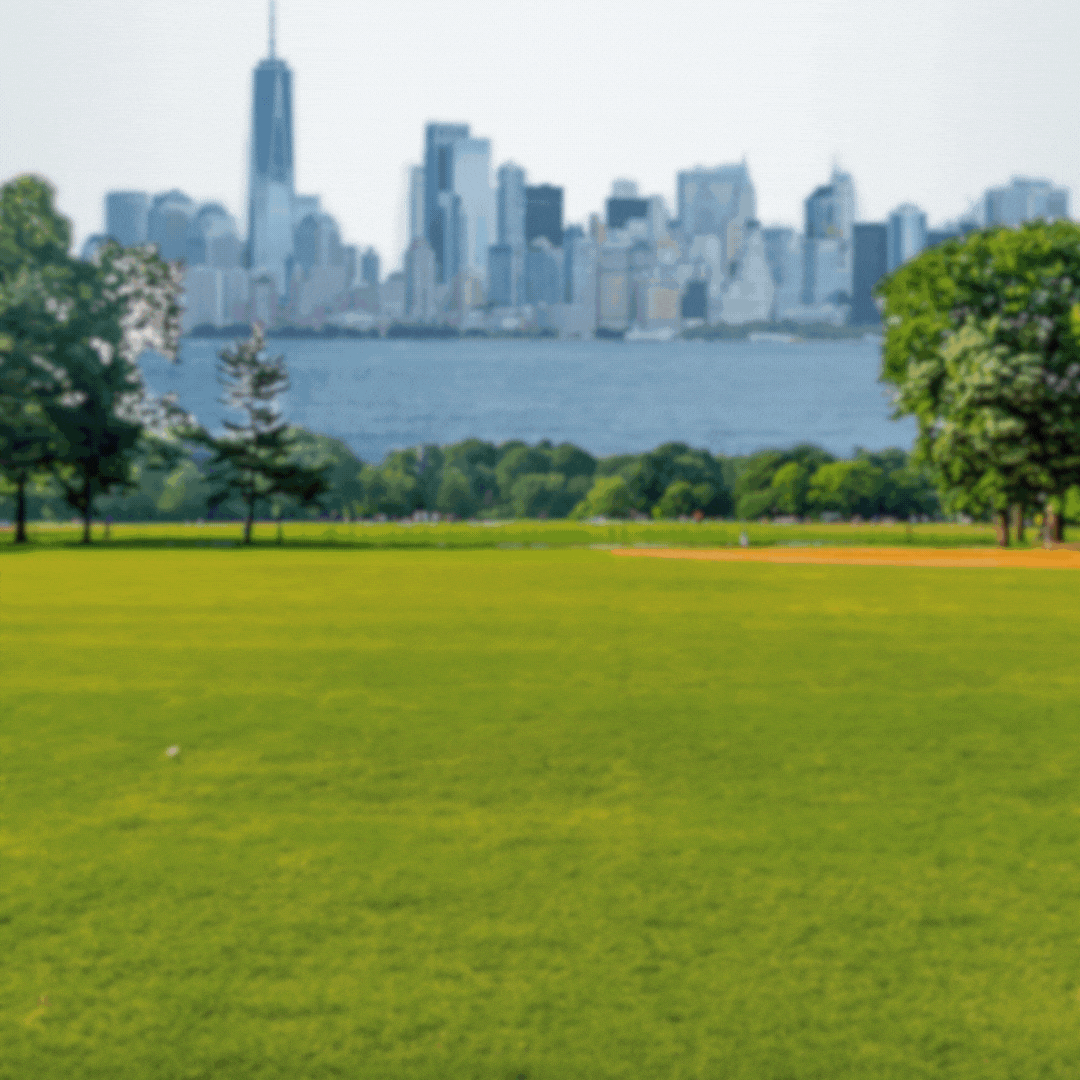 Mr Manhattan Visual Identity