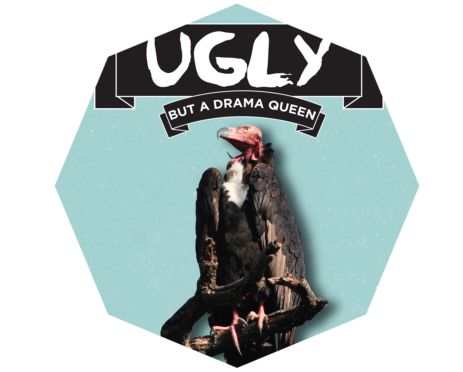 UglyAnimals.png