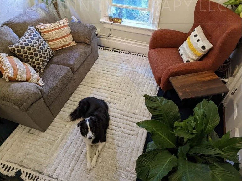 Office with border collie